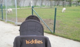 Déieren Pedagogik !