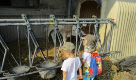 Visite à la ferme !