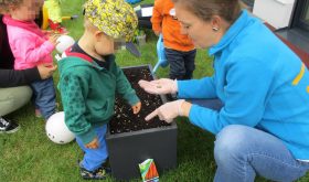 Nos bacs à plantes !