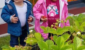 Sorties découverte !